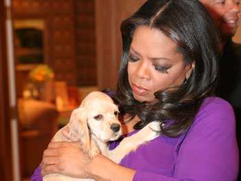 Oprah And Dogs